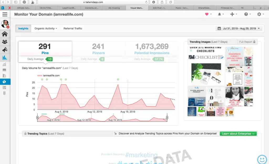 tailwind insights 