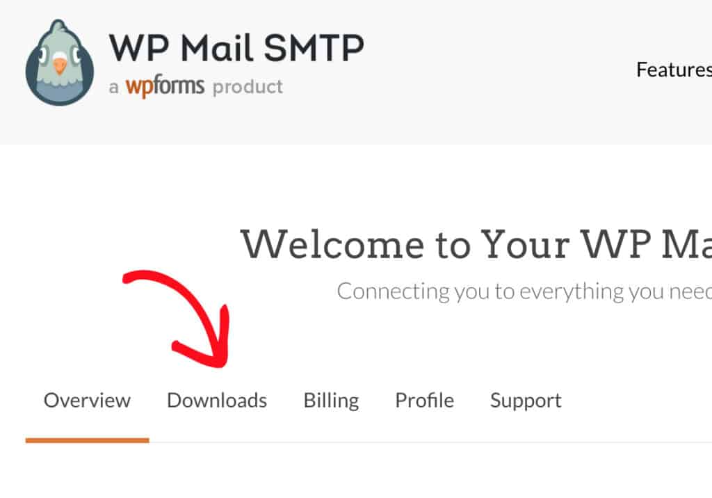 download wp mail smtp 