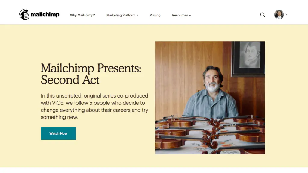 mailChimp Homepage email marketing